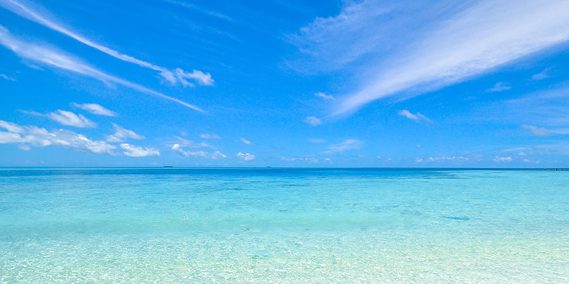 How to Save When Booking Summer Vacation